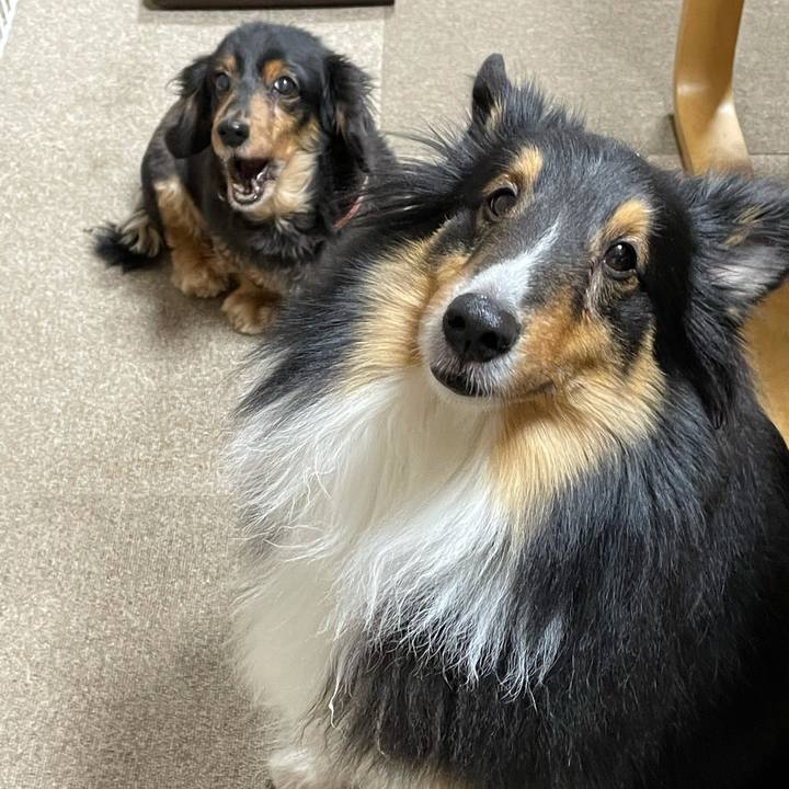 F6b4277f 4300 41e3 8cbd 1028b295f1ea 1612908339807