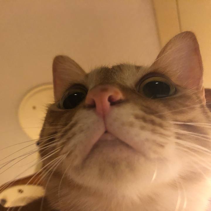 F6b430d4 175d 415b af8e c9541cca5372 1634898455648