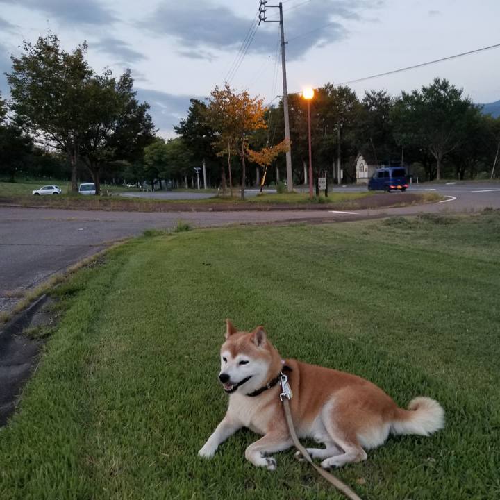 F6b434c1 4f66 4bd2 bc37 c725025a4276 1662369237622