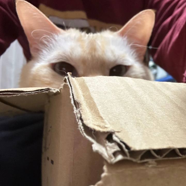 F6b43ed1 acdc 424e ae74 1fec30e86790 1762677927156