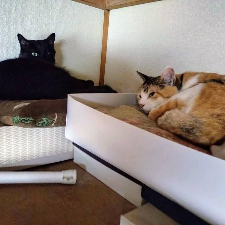 F6b45b6b e4b8 498a 83cc 441ce6b165da 1738389844972