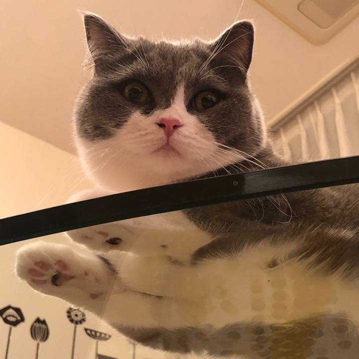 F6b4b1ae 9c16 4408 ad21 7753baec5c93 1524146660237