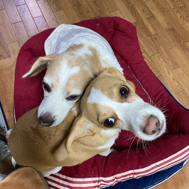 F6b4b21b 0e71 4190 b1e1 565787c98ea0 1609892526139