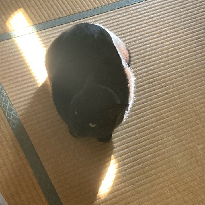 F6b4dfbf 0f21 4226 b9c2 e81f9543f59e 1612056015866