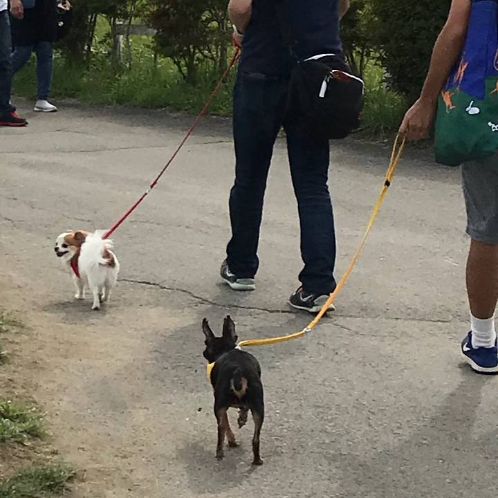 F6b4e367 0579 474b 9afe 93e159dabff1 1535887100092