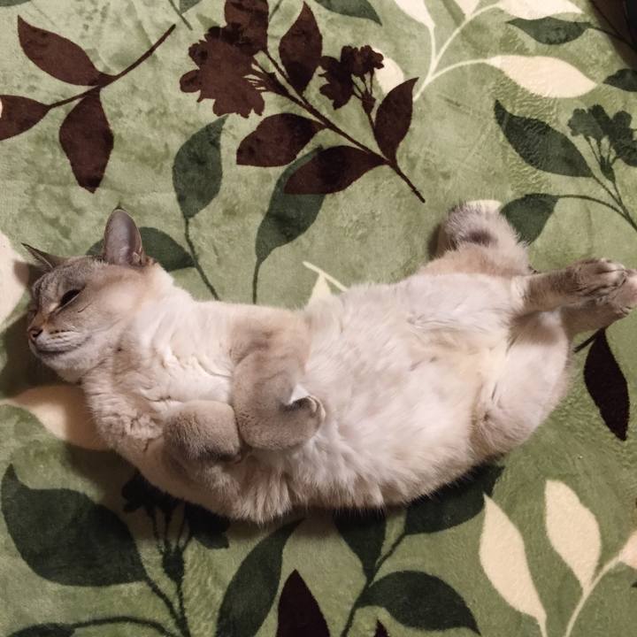 F6b51ee3 0db0 4732 8f92 85b4f7885204 1581197515154