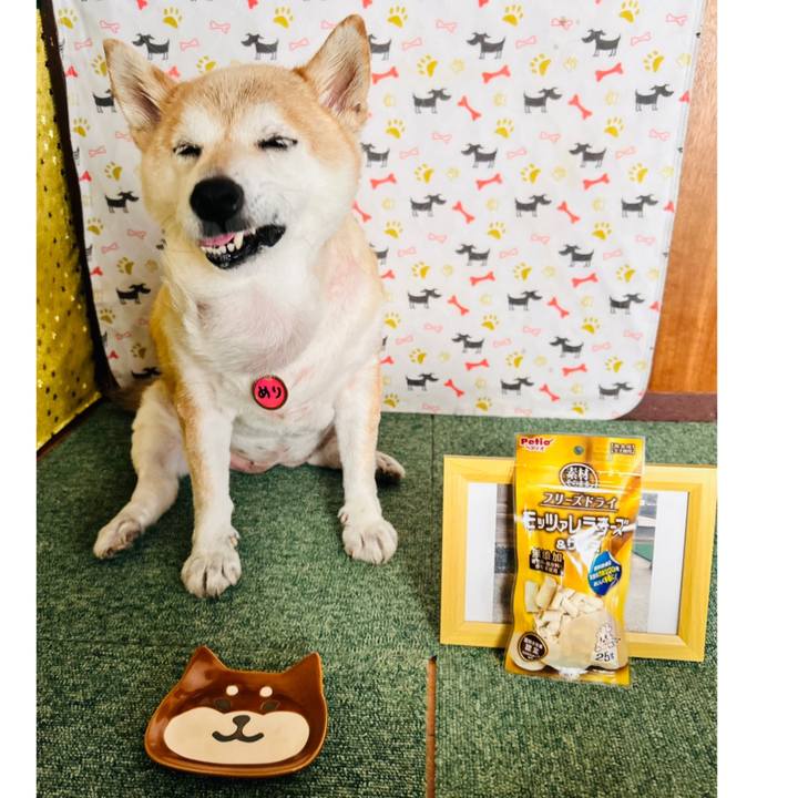 F6b531f9 371e 4920 b054 fce326548ade 1752988393128