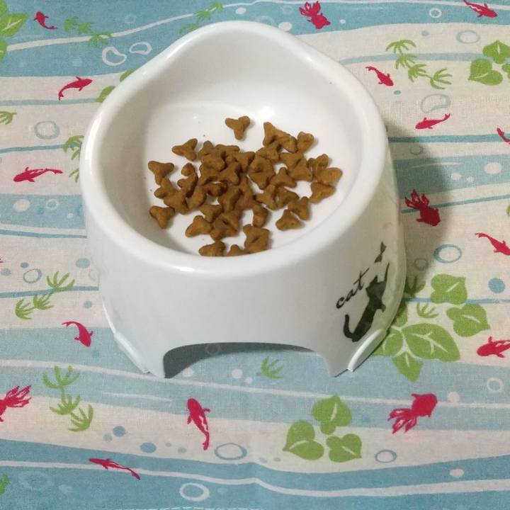 F6b54fdd 94d4 4d7c 89b8 8a31617625ec 1625564116320