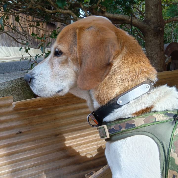 F6b59af8 da29 4ff3 a795 8d2232007dfb 1740131630220