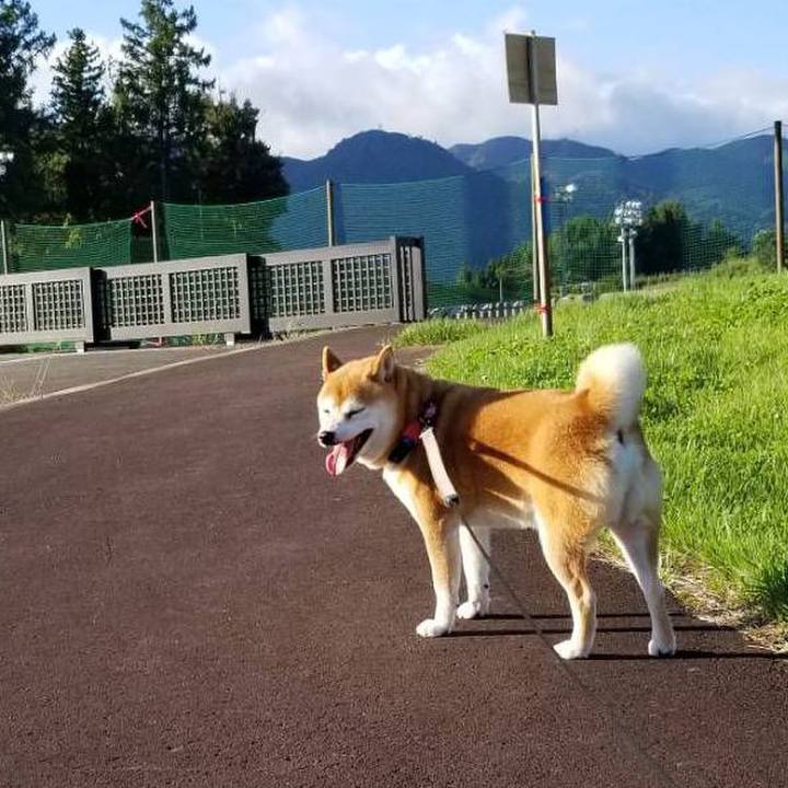 F6b5f475 67ba 4588 8f77 58cf53b0a210 1536653072069