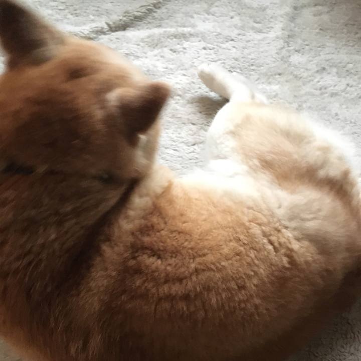 F6b5f69c 78af 4151 bb28 985c596ac12b 1525405873085