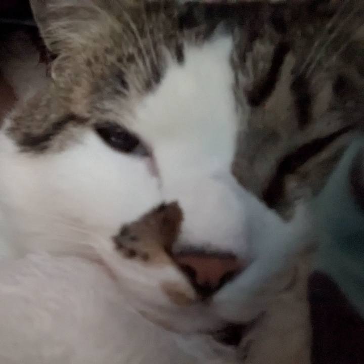 F6b6253d 4970 48a1 93c1 e655f234cec9 1742682730724