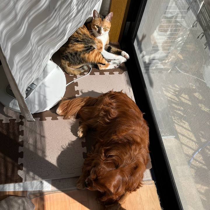 F6b64b23 7eb6 4768 b97c 3a5afaa8e489 1731623161669