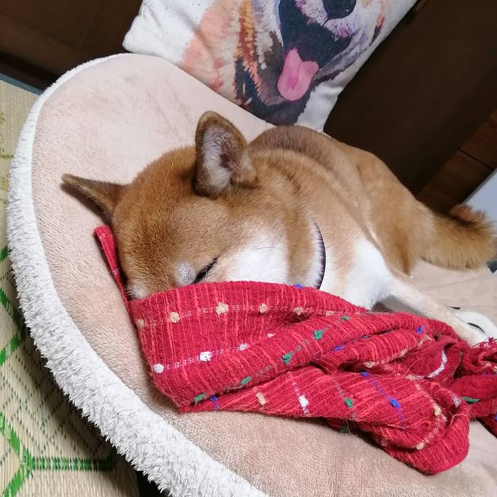 F6b6575e a611 4c37 bba5 d6f129fcc749 1632407855714