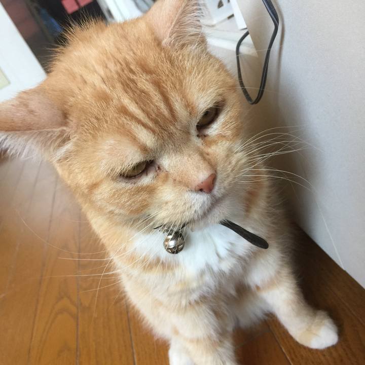 F6b6d56a d3f6 4fd3 b131 9667c15be1d3 1558754910718