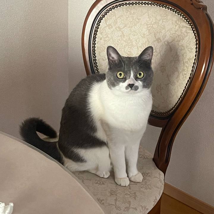 F6b6f000 fcff 4e35 94f0 462f709fdaec 1714813175081