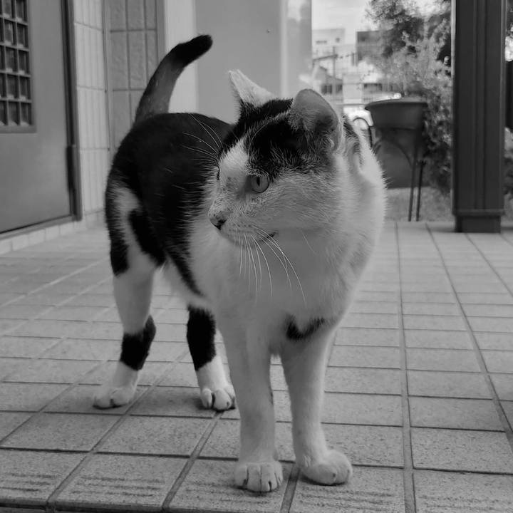 F6b72cfb 76d2 491d ba4a 9b150170378a 1760055987923