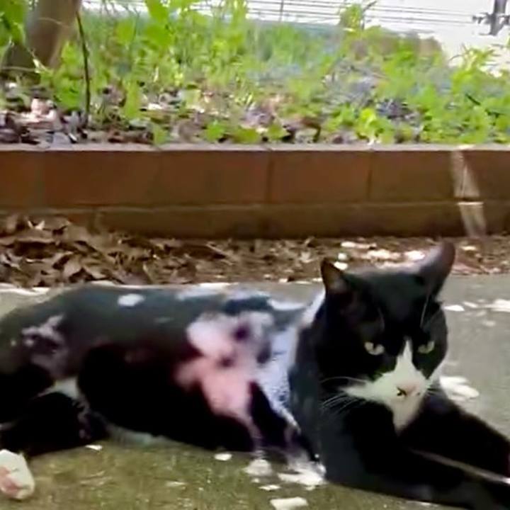 F6b7321f 596e 47c4 ab2f bb6137f00b12 1753411310158