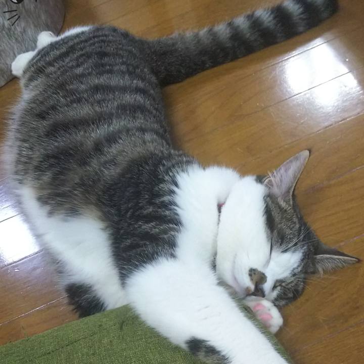 F6b755da a00c 458d 89ed 0ccd5e567747 1621859444270