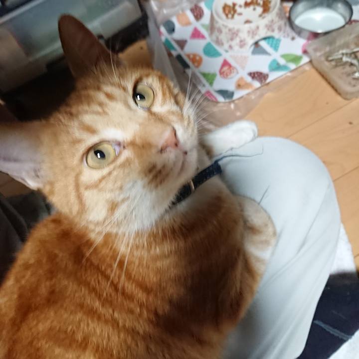 F6b79946 3bd5 4aa1 8f2d ef1df4cc2738 1601455667643