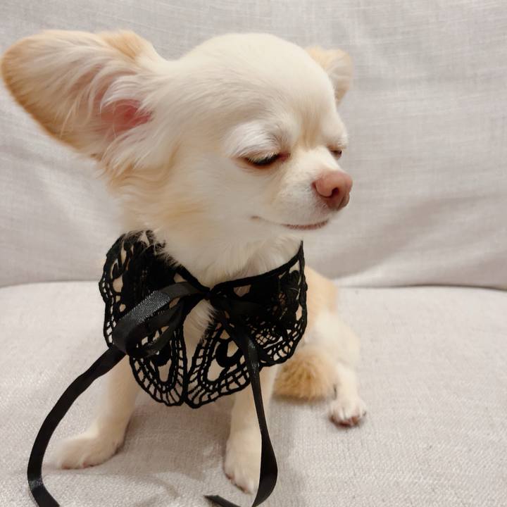 F6b7becd 4778 452f bf87 733430c0d1cf 1717513066522