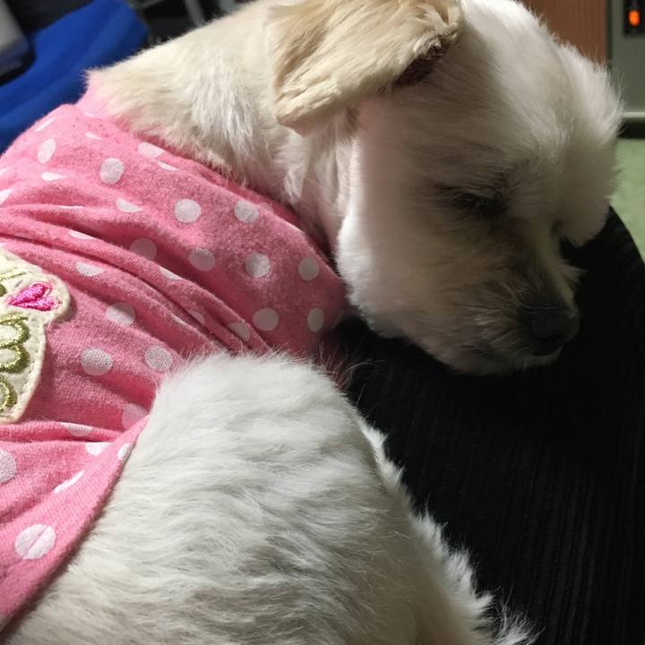 F6b7c18c 7cc2 4baf 9064 8e8031aa6bc7 1541934320528