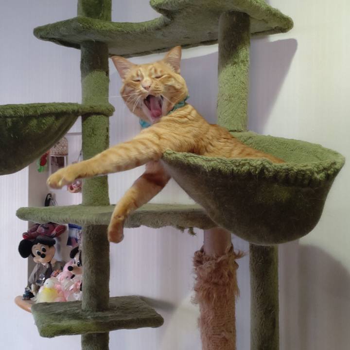 F6b7d5d7 e304 4e61 a0b4 40b572cc5f88 1745020841118