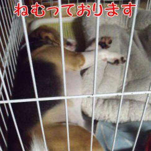 F6b7edd7 90ca 474f bf6e bd6f6ce86f15 1722040870644