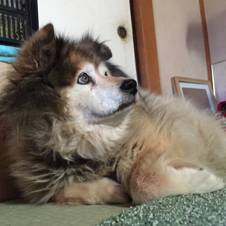 F6b8141b d0e1 441b 814f d9abc8d68d76 1565029623068