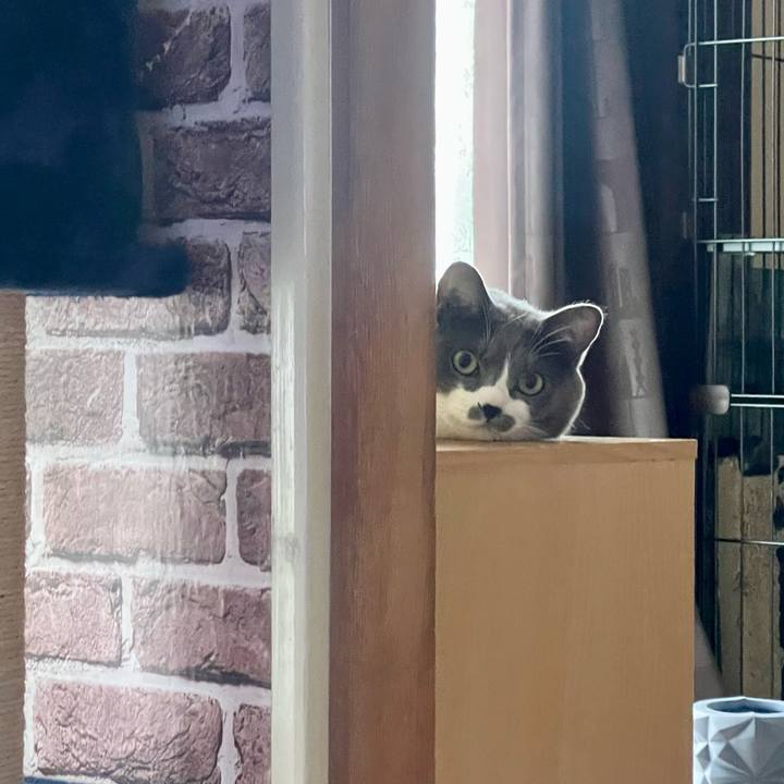 F6b8289b 7e95 4dda ae83 22a63ad7b3a5 1661812107201