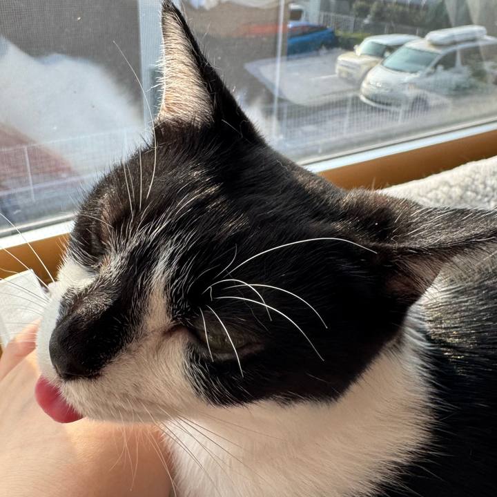 F6b83394 c79d 4c73 b783 282e70456df4 1756601251514