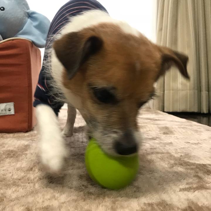 F6b8428c 9da7 4097 8239 d0d4c2bf86f4 1520293521686