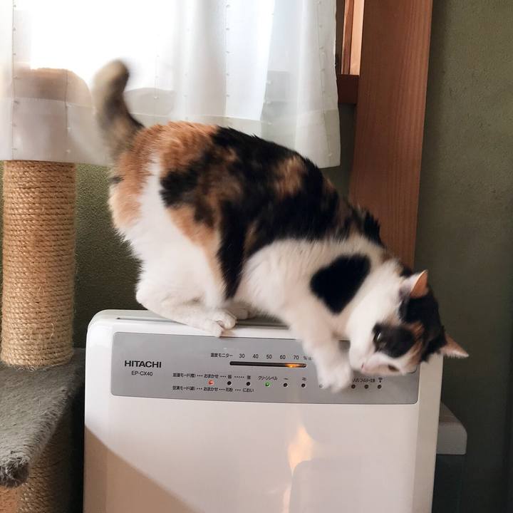 F6b8a4dc 1131 4491 8ff0 988a845e0ff7 1524186384452