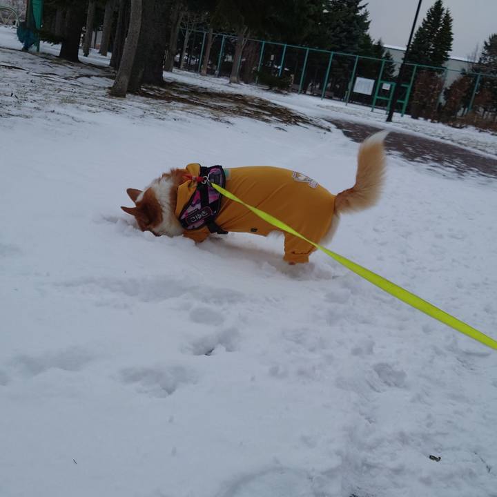 F6b8cfcc f3eb 470c 9ee7 a5958a69ab68 1764890885817