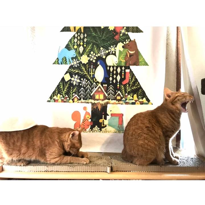 F6b8dce1 2c4e 4025 8c25 37ee295312c0 1588978148562