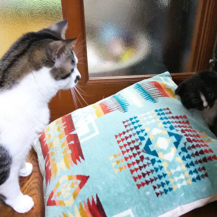 F6b8ebee bc3f 4a44 b713 ec5fda228b6e 1638967031265