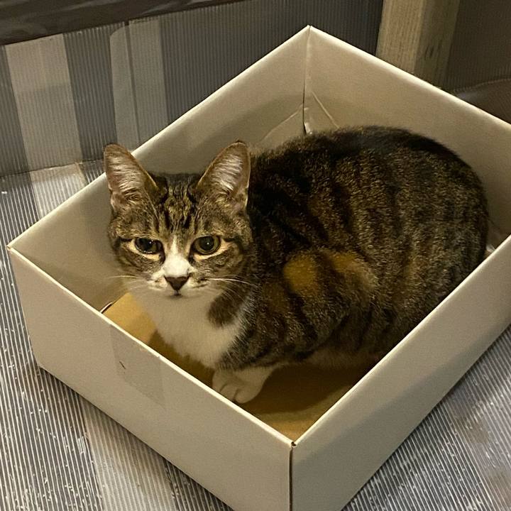 F6b90ad2 8511 4812 bdba 526bcef59622 1652803969412