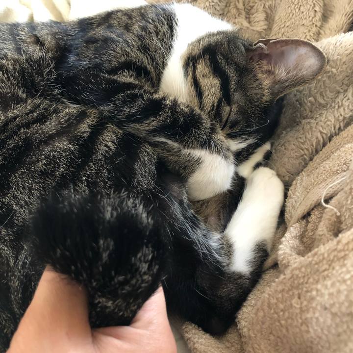 F6b90f22 a27f 46dc 8b98 0eeae79c2b50 1526845258476