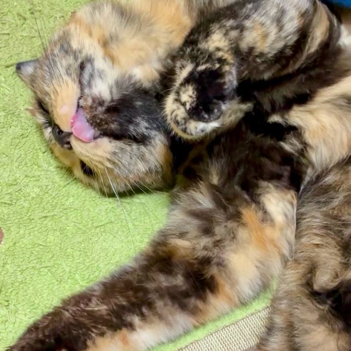 F6b91bcc 3b01 41a9 b1a0 62be3914f89e 1752785615666