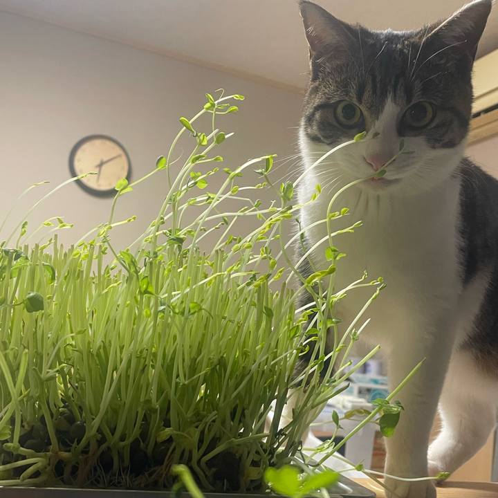 F6b930b9 ac3c 4285 bcfd 6ff6bac1d0ab 1737711286348