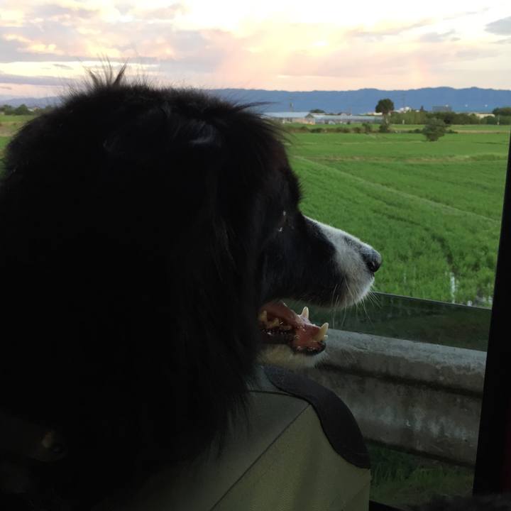 F6b93494 7d93 43d4 96b6 fa70aa04f981 1532172642979