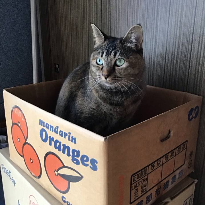 F6b93b17 cd05 4259 b593 c861e9129b9a 1760497500489