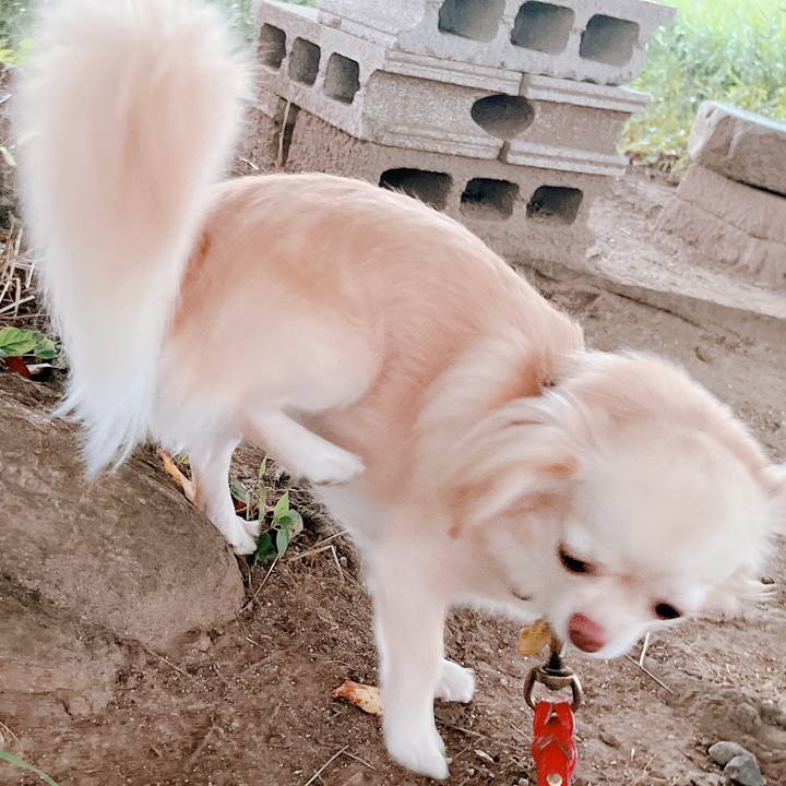 F6b94dac af77 42f6 ae18 86f56d40ce24 1659007721954