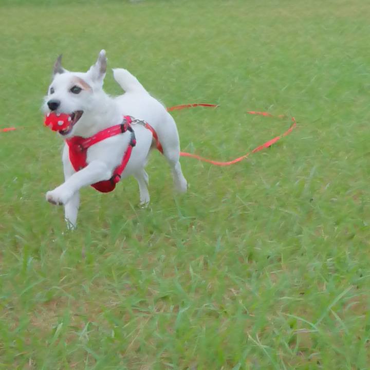 F6b962cf 9cc0 44fd be2b f9e4a50cb634 1538090371379