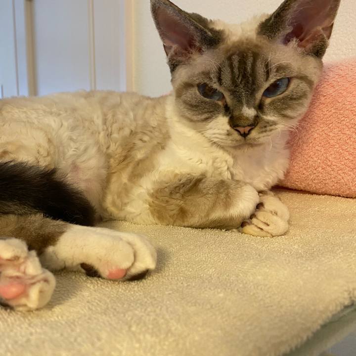 F6b96607 1bb5 4849 b8f1 08f868b28da0 1600750684418