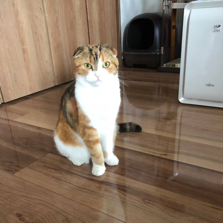 F6b98bd5 676c 4059 98c9 6879717cbe03 1529123602891