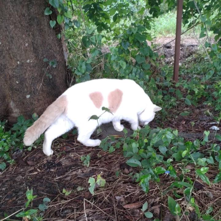 F6b993d0 263d 4d98 bb20 a05a6f84fbc8 1757635079008