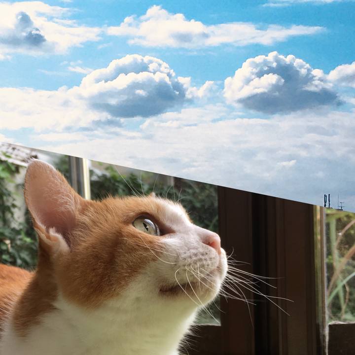 F6b9b423 2cb3 49ab b1c9 b27e32d40c28 1603254828464