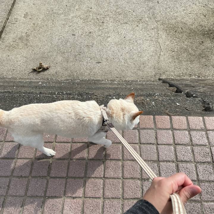 F6b9c8d9 9b26 4c1c 81db f17bcb101981 1634634542421