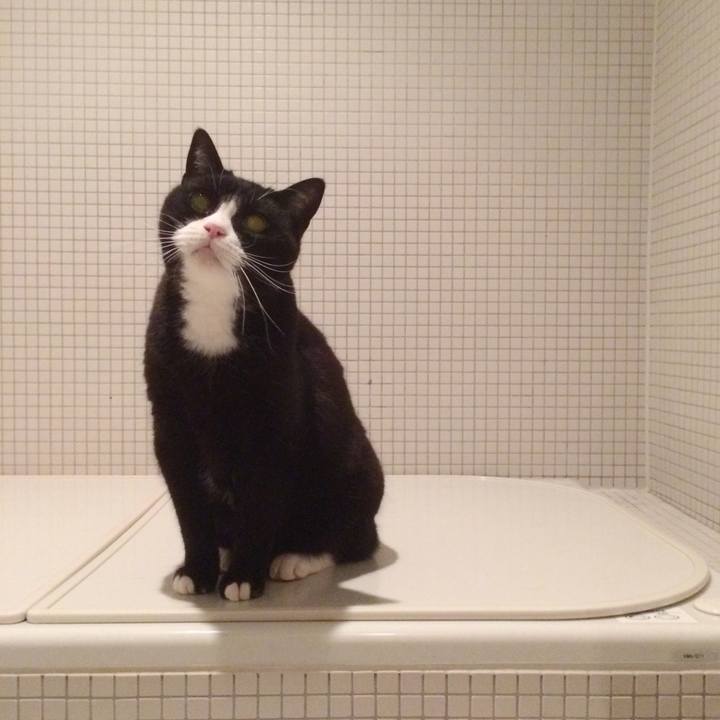 F6b9d503 1c79 4127 aaee a4b95f5bc49f 1573227088289